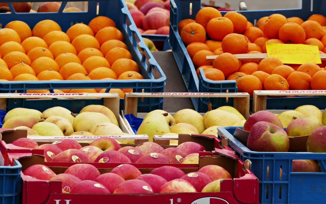 Alimentación
